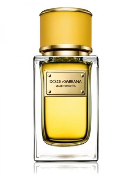 Dolce&Gabbana Velvet Ginestra EDP 50 ml Kadın Parfümü kullananlar yorumlar